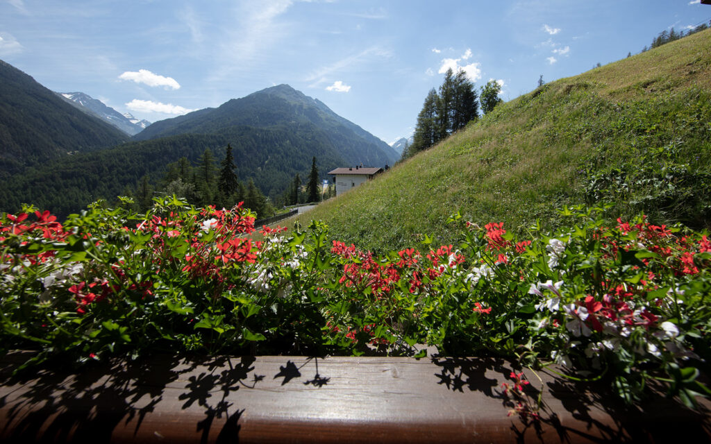 © Falkner Georg I https://www.ci-center.at