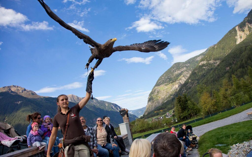 umh_greifvogelpark_09_15